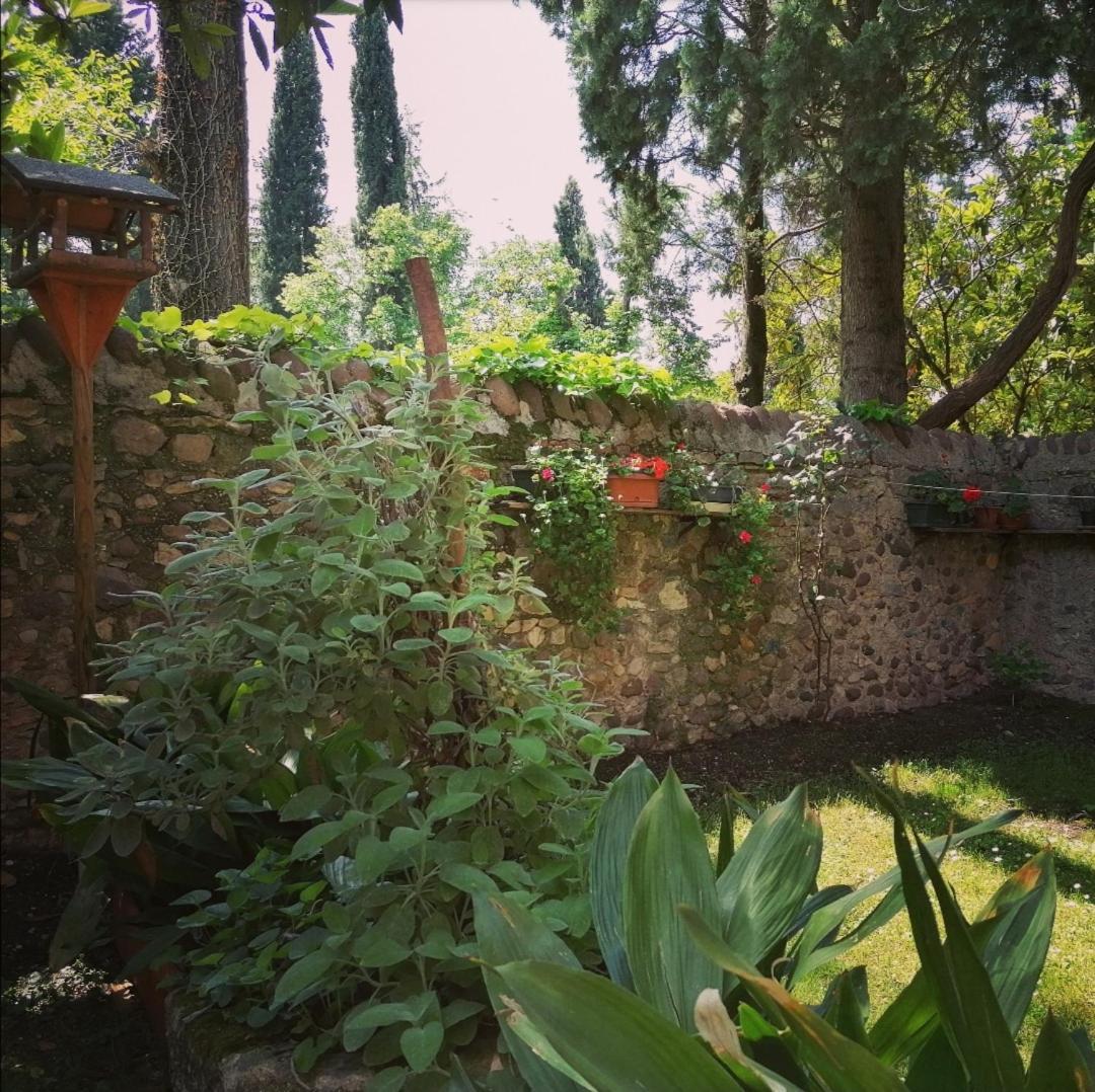 Апартаменты La Casa Di Marzia Бардолино Экстерьер фото